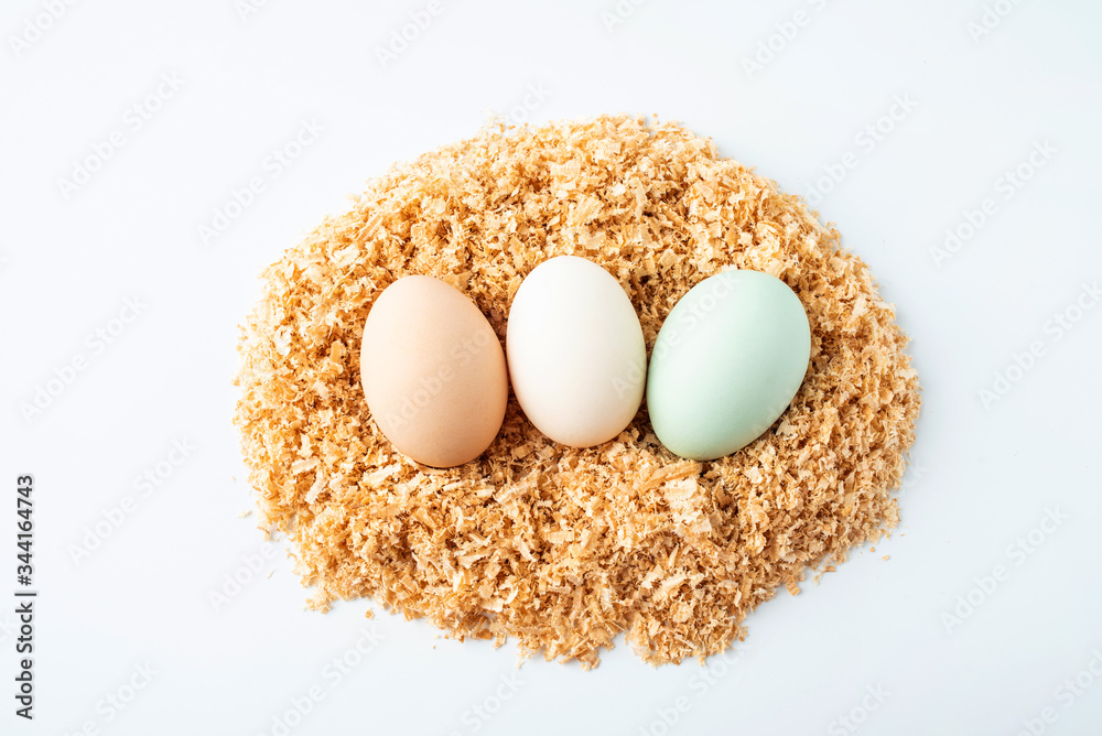 Black eggs in green shell on white background