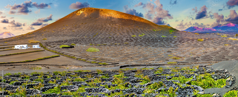 La Geria vineyard on black volcanic soil.Scenic landscape with volcanic vineyards. Lanzarote. Canary