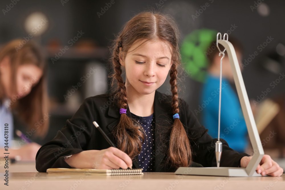 Pupil at physics lesson in classroom