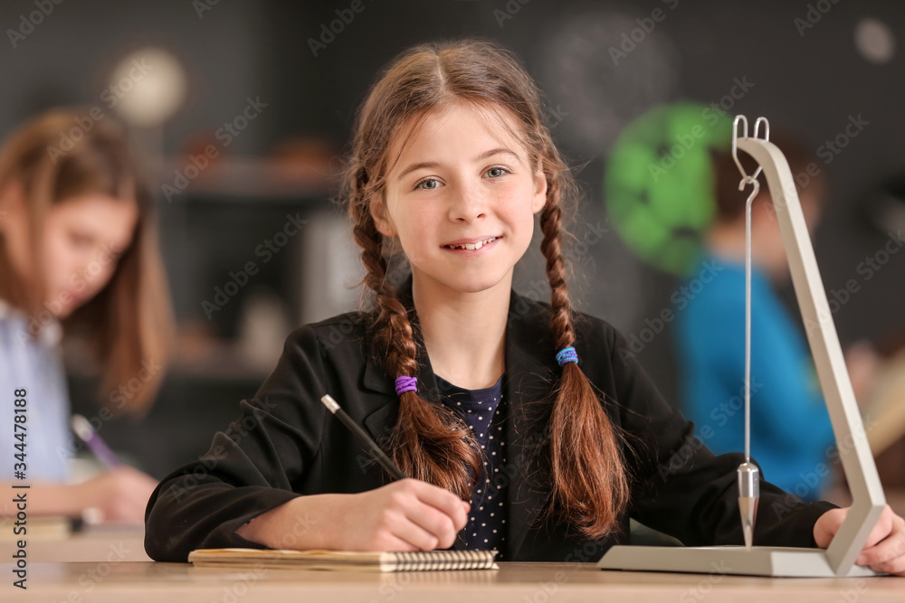 Pupil at physics lesson in classroom