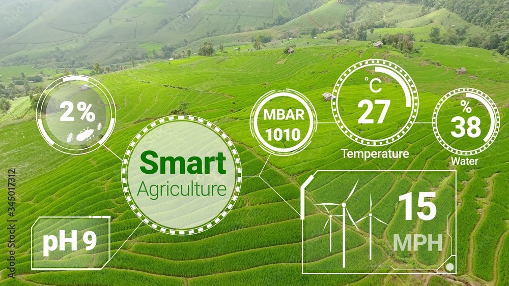 Smart digital agriculture technology by futuristic sensor data collection management by artificial i