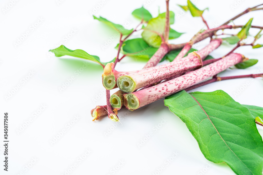 Sour tube rods with fresh wild herbs on white background