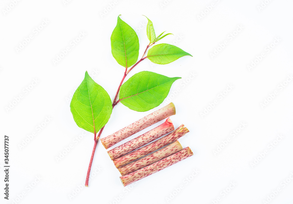 Sour tube rods with fresh wild herbs on white background