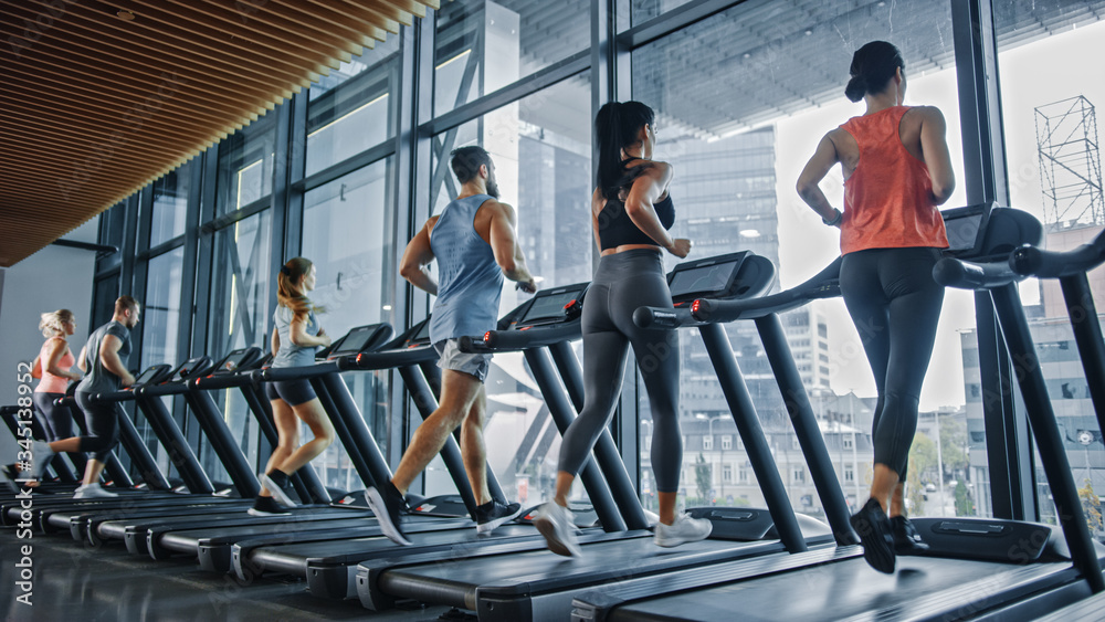 Group of Athletic People Running on Treadmills, Doing Fitness Exercise. Athletic and Muscular Women 