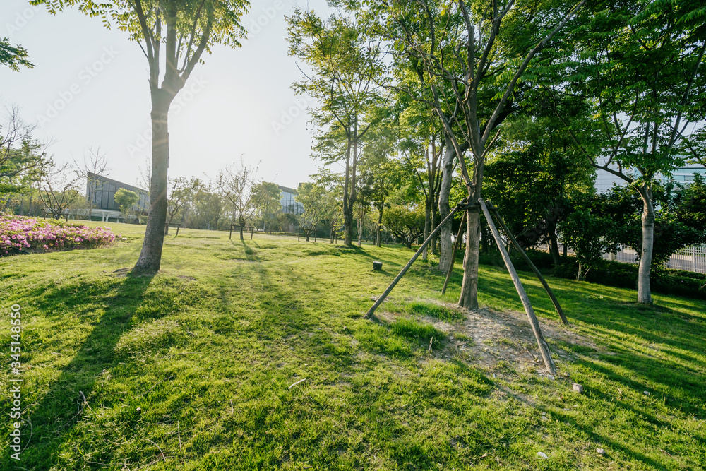 road in park