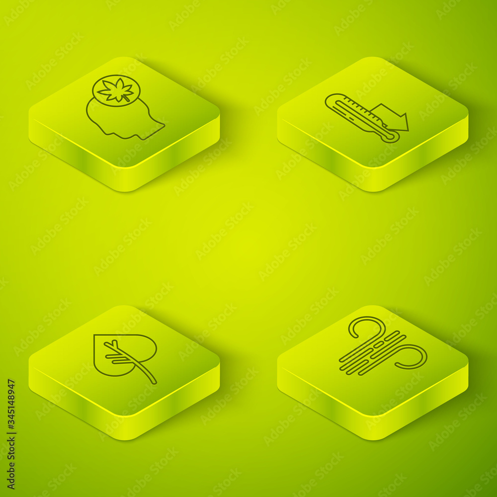 Set Isometric Meteorology thermometer, Leaf or leaves, Wind and Human head with leaf icon. Vector