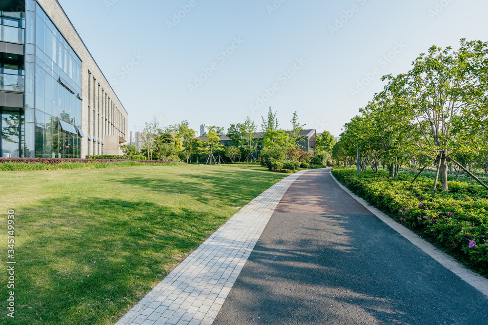 road in park