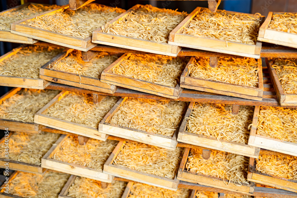 Pasta plant and pasta production stages. Fresh macaroni cut in boxes on shelves. Industrial machine.