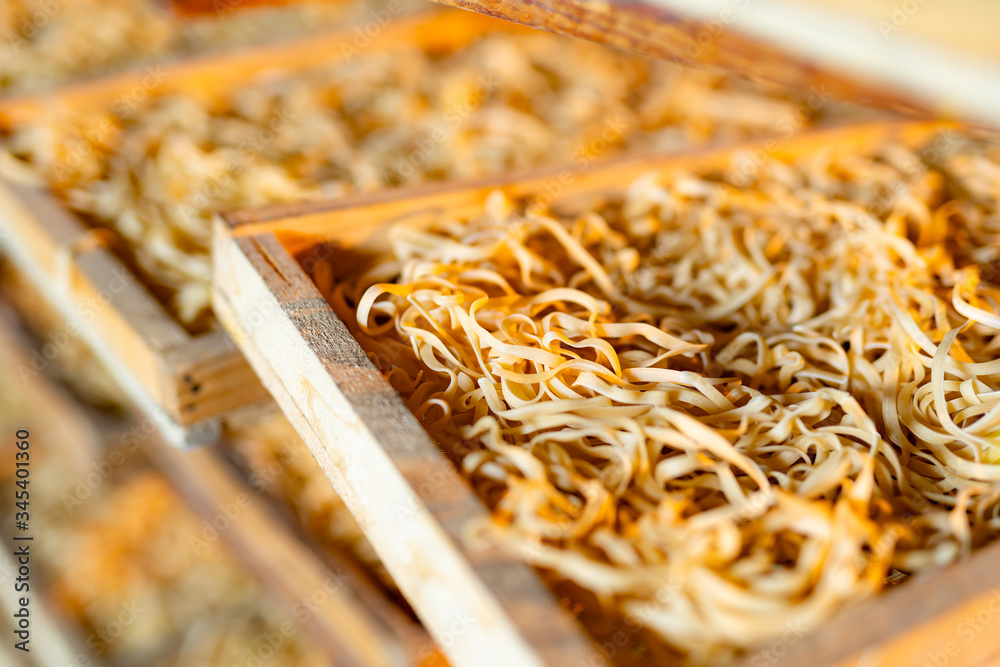 Pasta. Dry uncooked macaroni. Agriculture and food industry. Raw macaroni closeup.