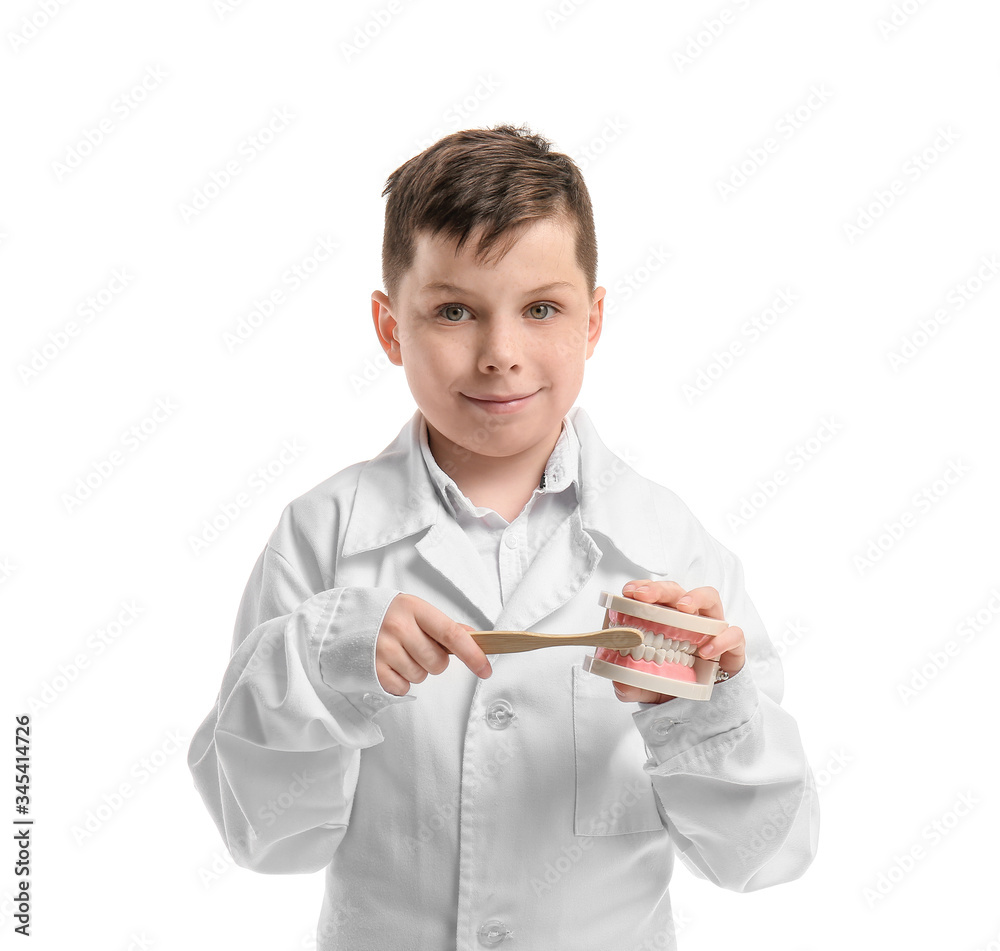 Little dentist with model of jaw and tooth brush on white background