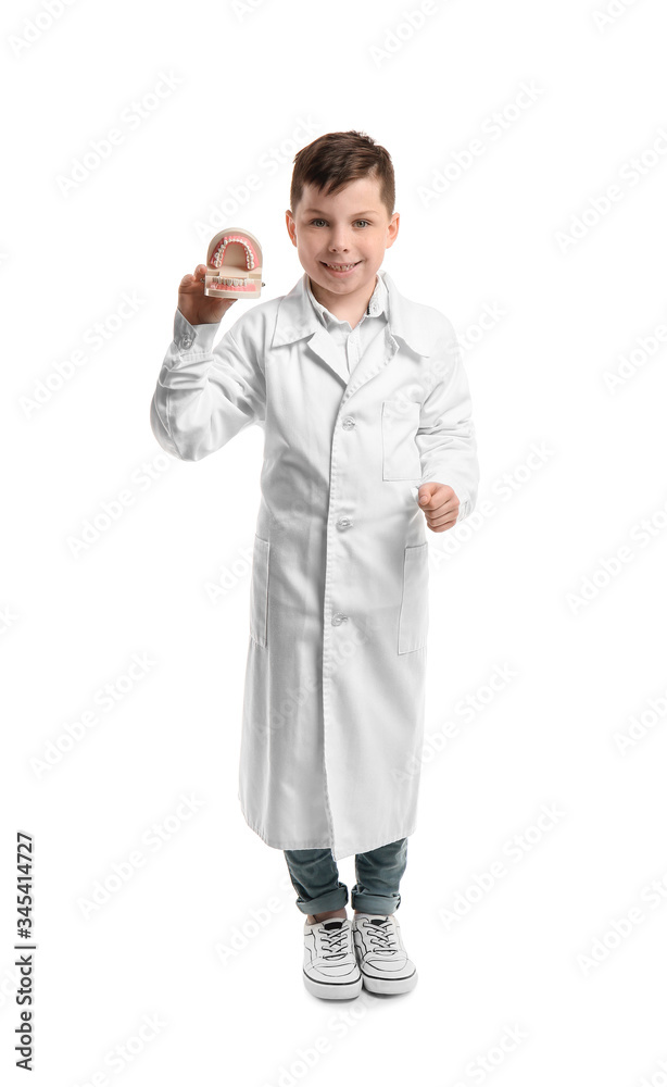 Little dentist with model of jaw on white background