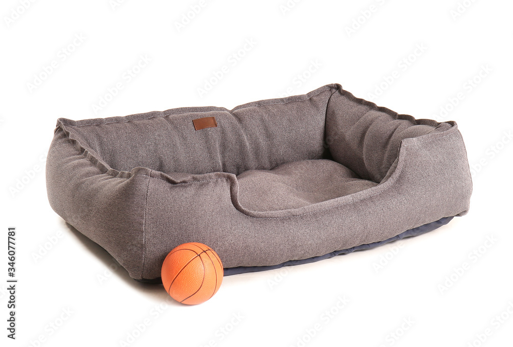 Comfortable pet bed on white background