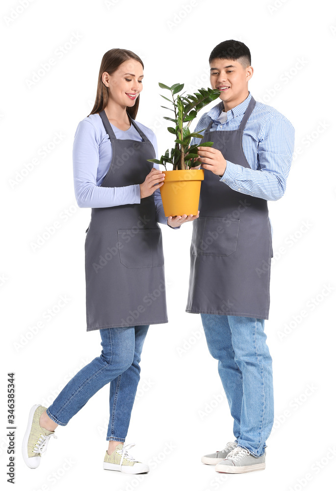 Portrait of florists with plant on white background