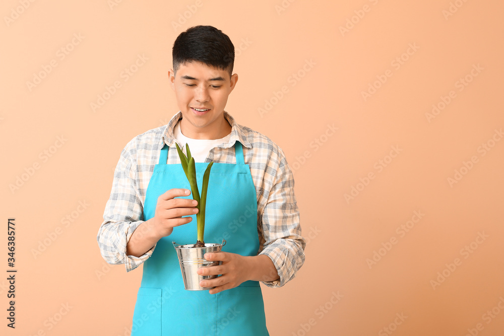 亚洲男性花艺师肖像，彩色背景为植物