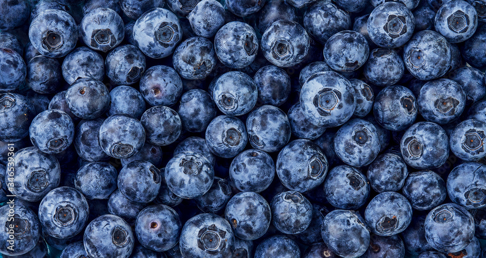 Fresh blueberry background. Top view. Concept of healthy and dieting eating. Blue texture of blueber