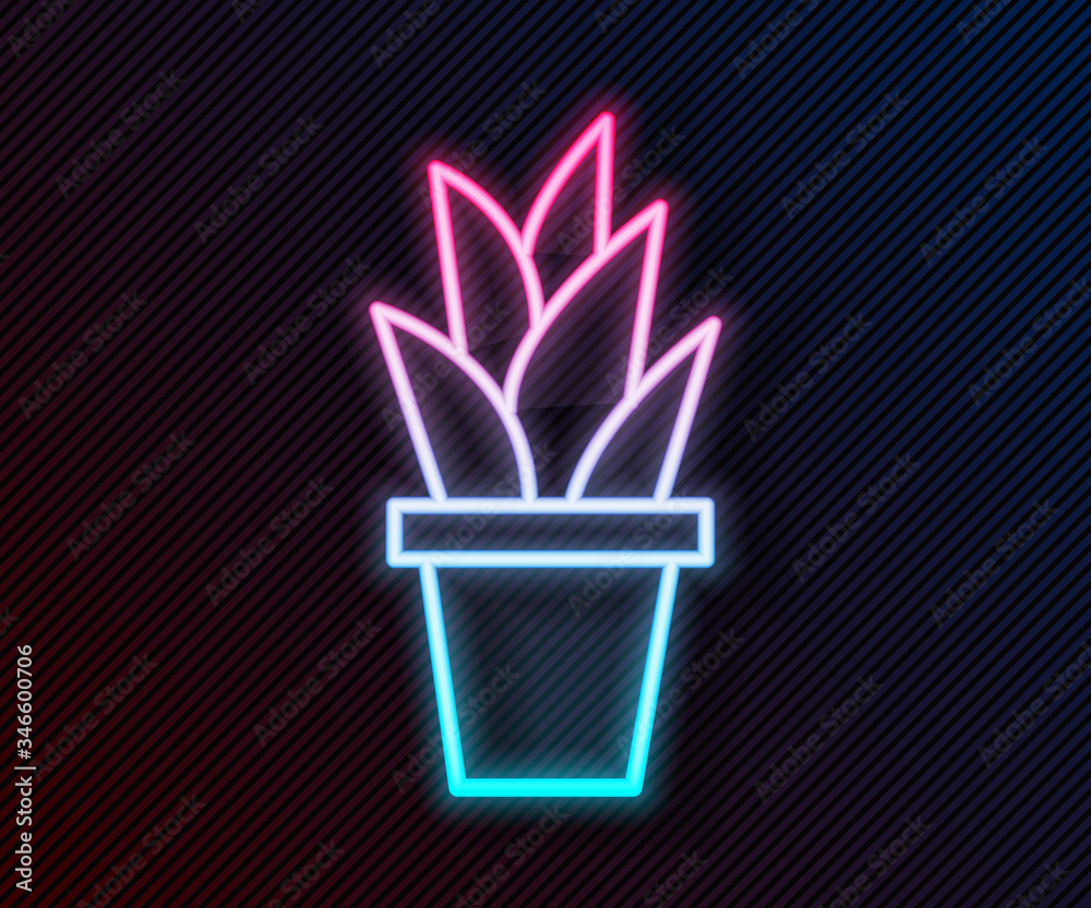 Glowing neon line Plant in pot icon isolated on black background. Plant growing in a pot. Potted pla