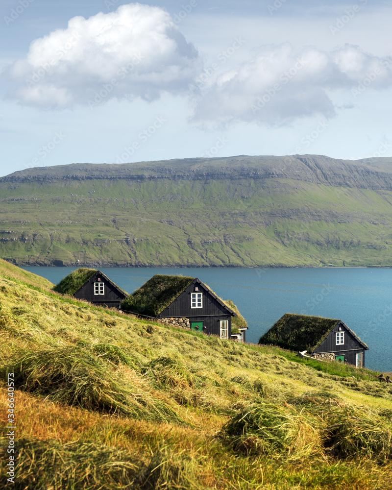 Picturesque view of tradicional faroese grass-covered houses in the village Bour during autumn. Vaga