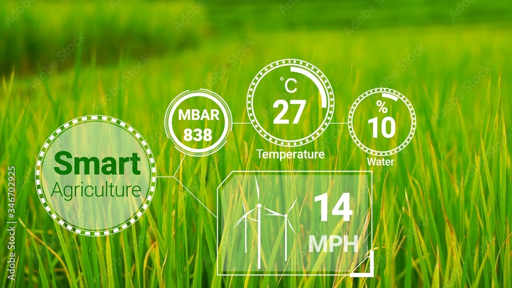 Smart digital agriculture technology by futuristic sensor data collection management by artificial i