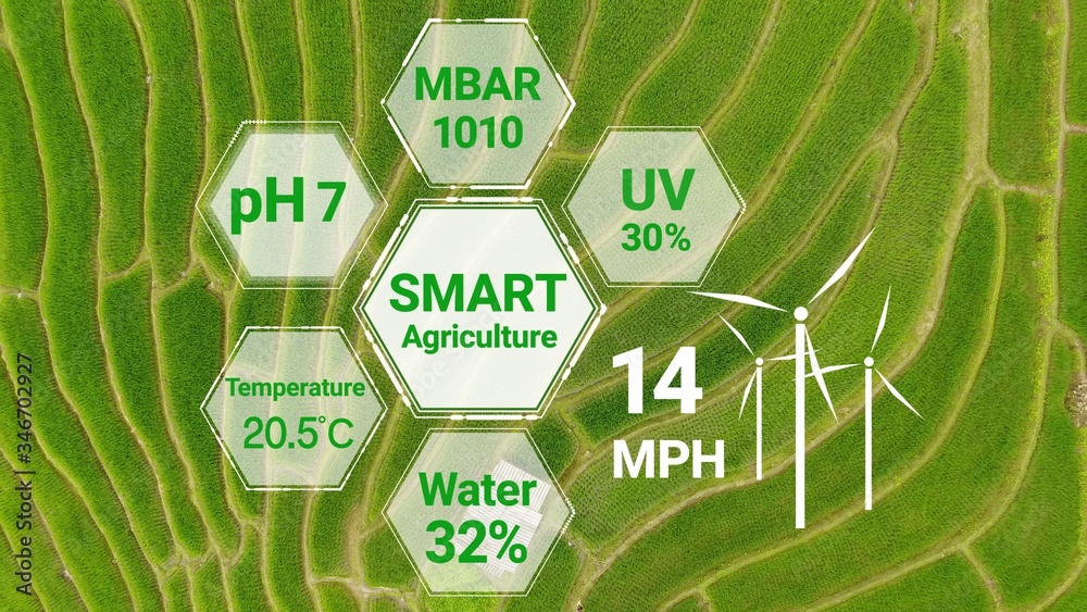 Smart digital agriculture technology by futuristic sensor data collection management by artificial i