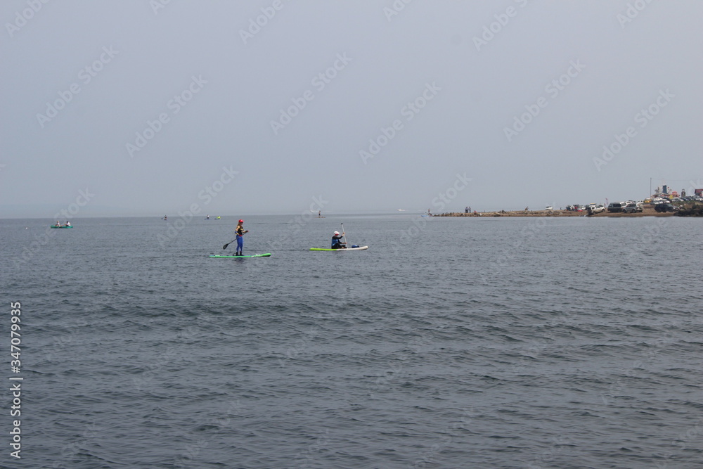 people swim in the bay