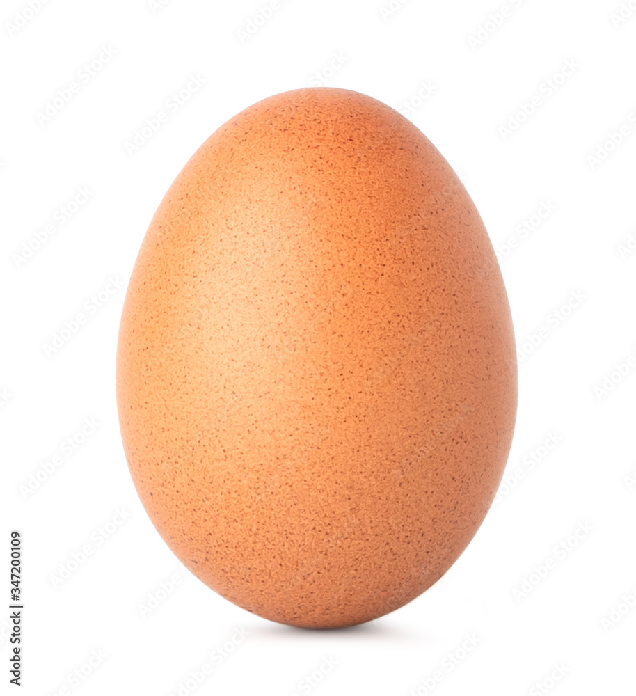 chicken egg isolate on white background