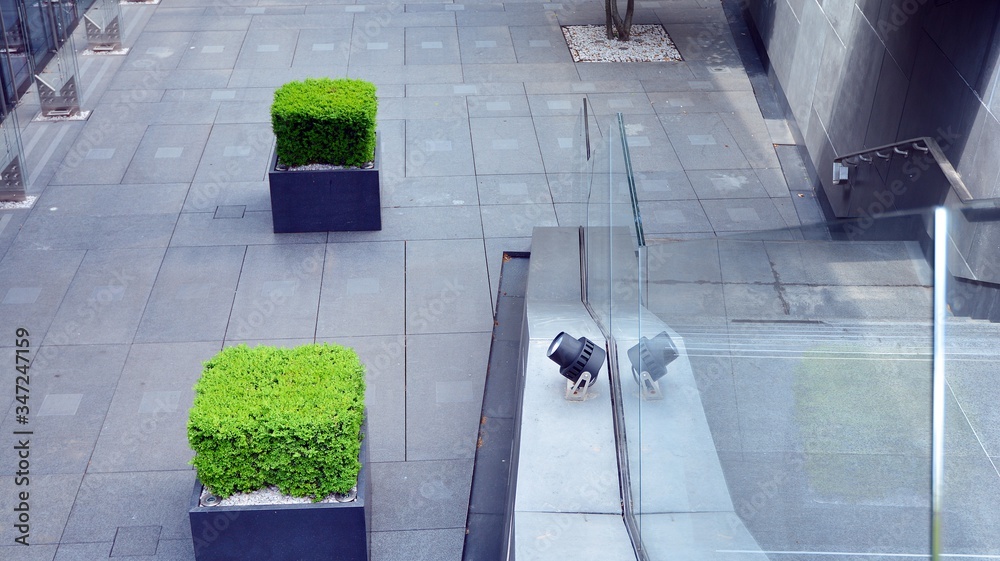 Eco building with vegetation adorning the walls and floor and external facades