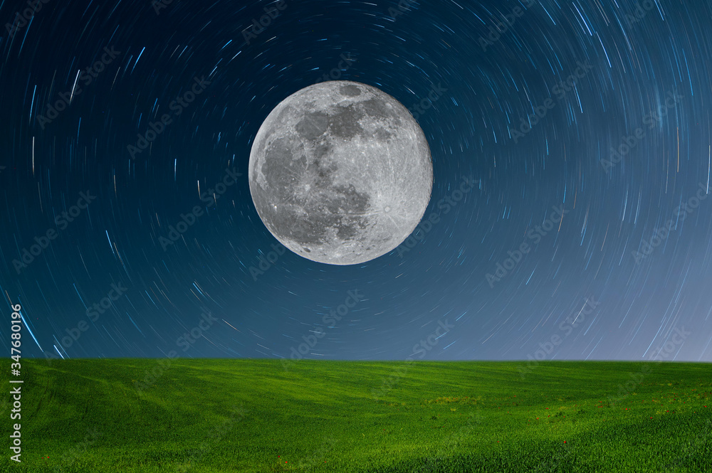 Meadow at night in full moon light