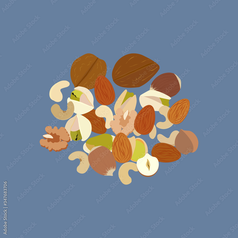 Nuts healthy vegan diet snack vector illustration