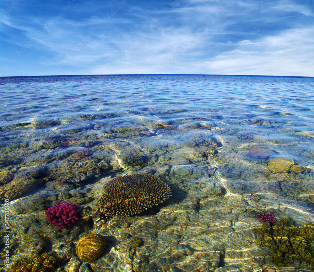 Red sea coral reef and sky.