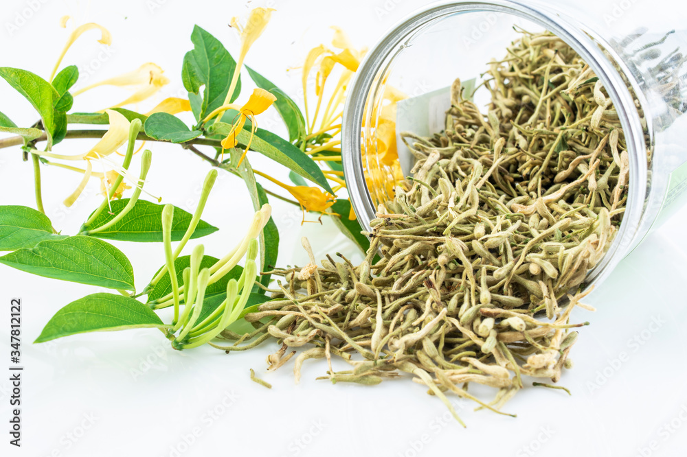 Honeysuckle tea on white background