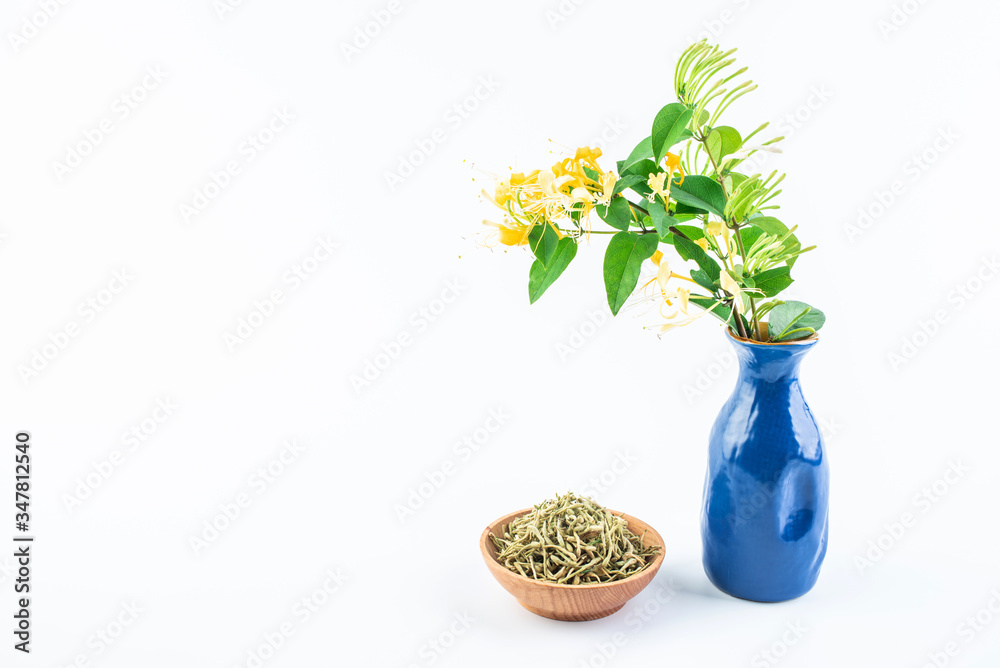 白底金银花茶