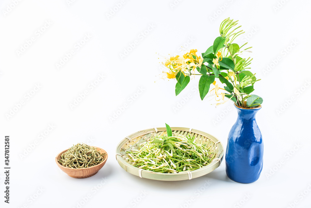 白底金银花茶