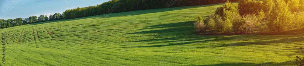 fertile agricultural fields for sowing and growing crops