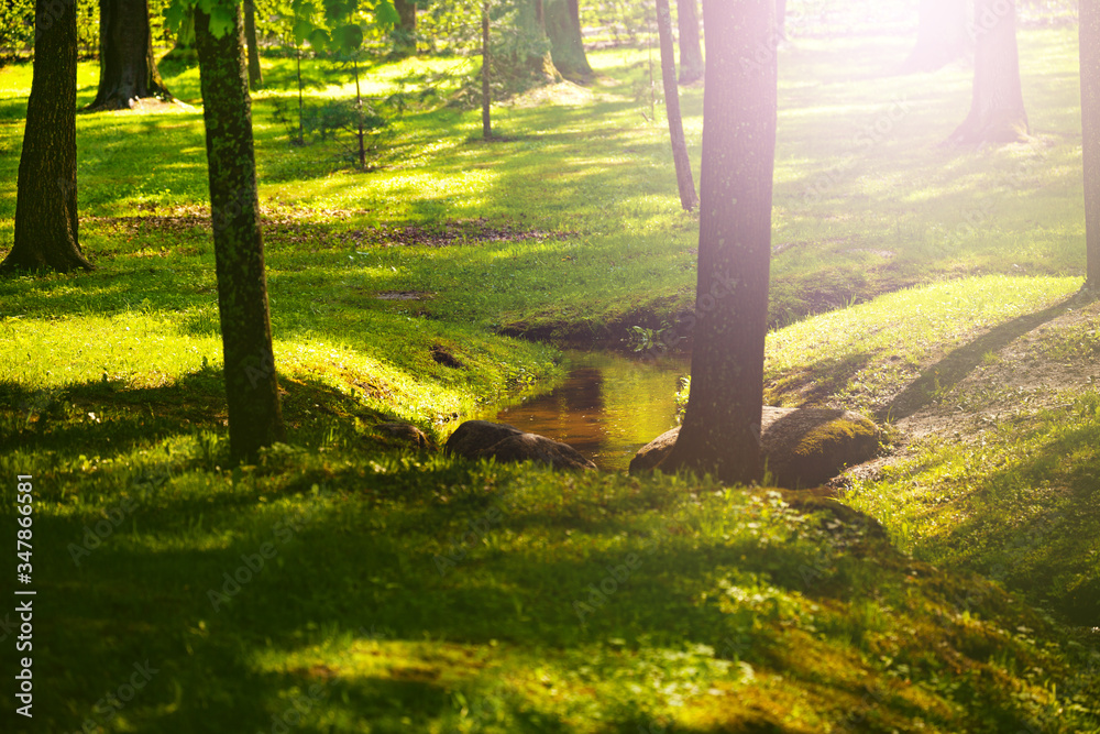 Small creek in the park with water flowing in spring forest