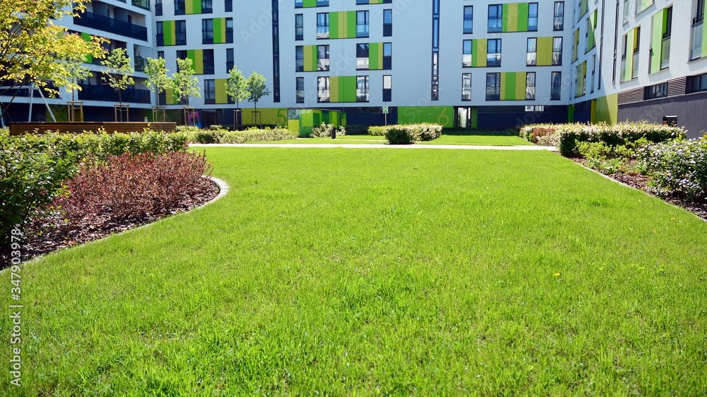 Ornamental shrubs and plants near a residential city house