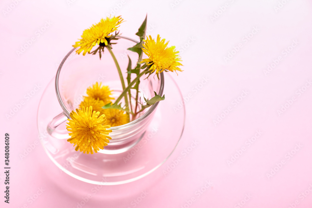 Cup with dandelions on color background