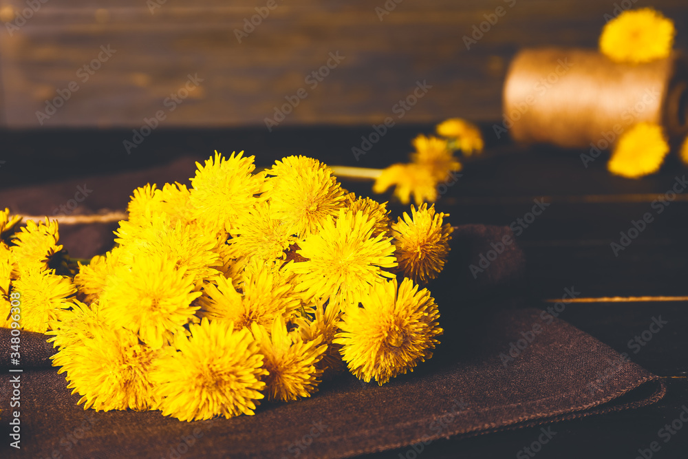 Beautiful dandelions on dark table