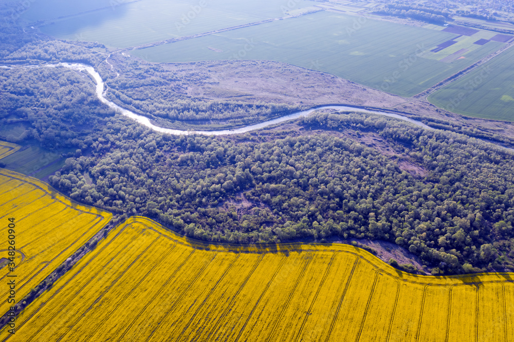 Flight through majestic river, lush green forest and blooming yellow rapeseed fields at sunset time.