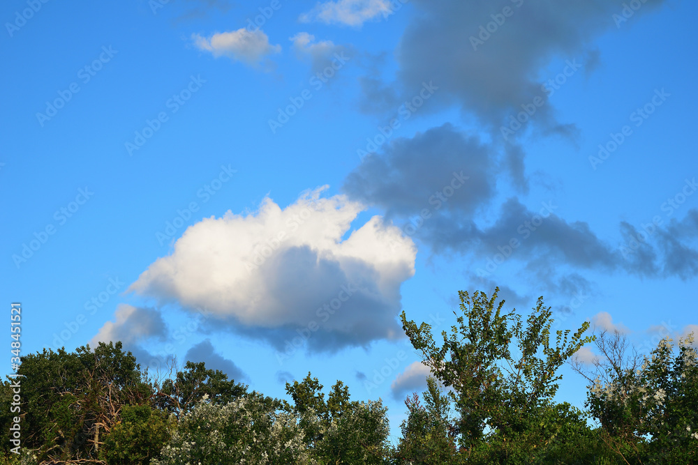 blue sky with clouds over forest at Therma beach, Therma, Samothraki island, Greece, Aegean sea