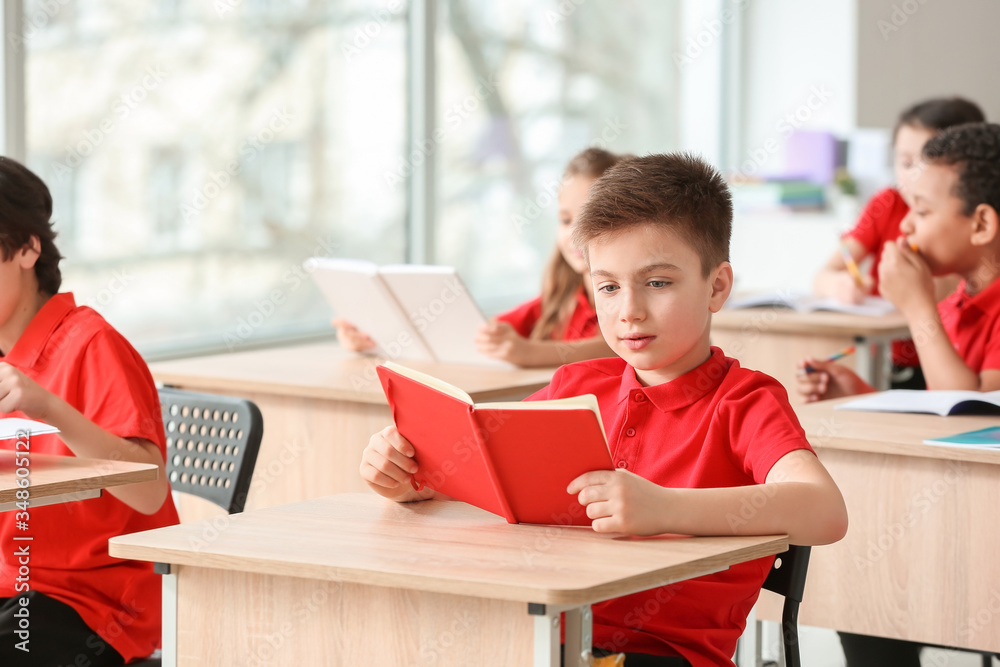 Cute little pupils during lesson in classroom