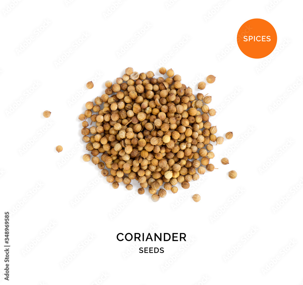 Creative layout made of coriander on white background.Flat lay. Food concept.