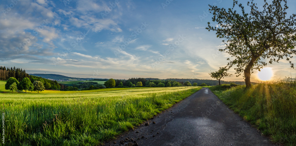 黑森州Taunus Taunusstein的Abendstimmung