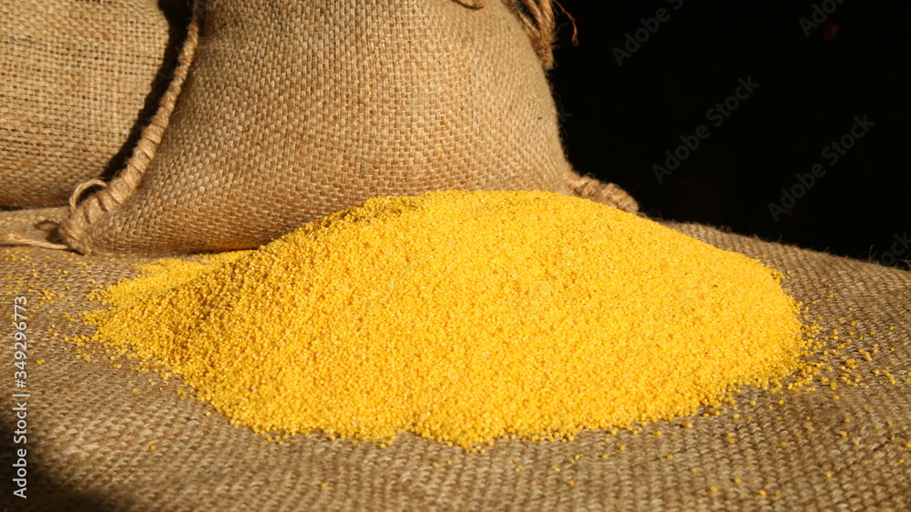 Closeup of millet heap, burlap sack background, organic crops