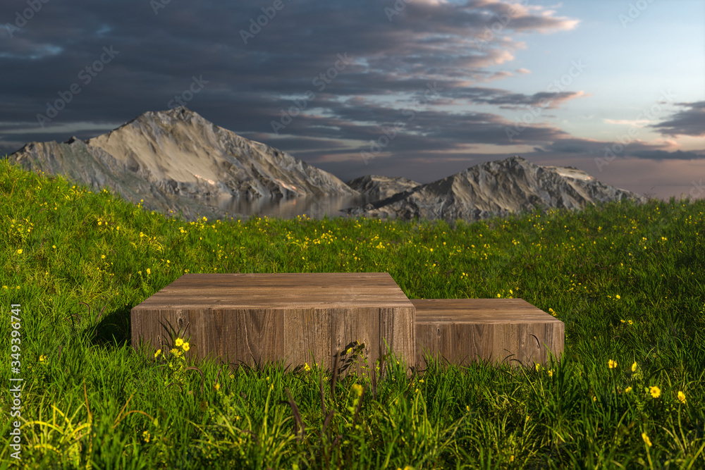 Empty platform in the grass field, 3d rendering.