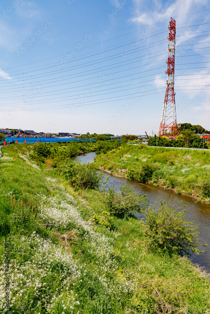 横浜郊外の風景　鶴見川土手沿い