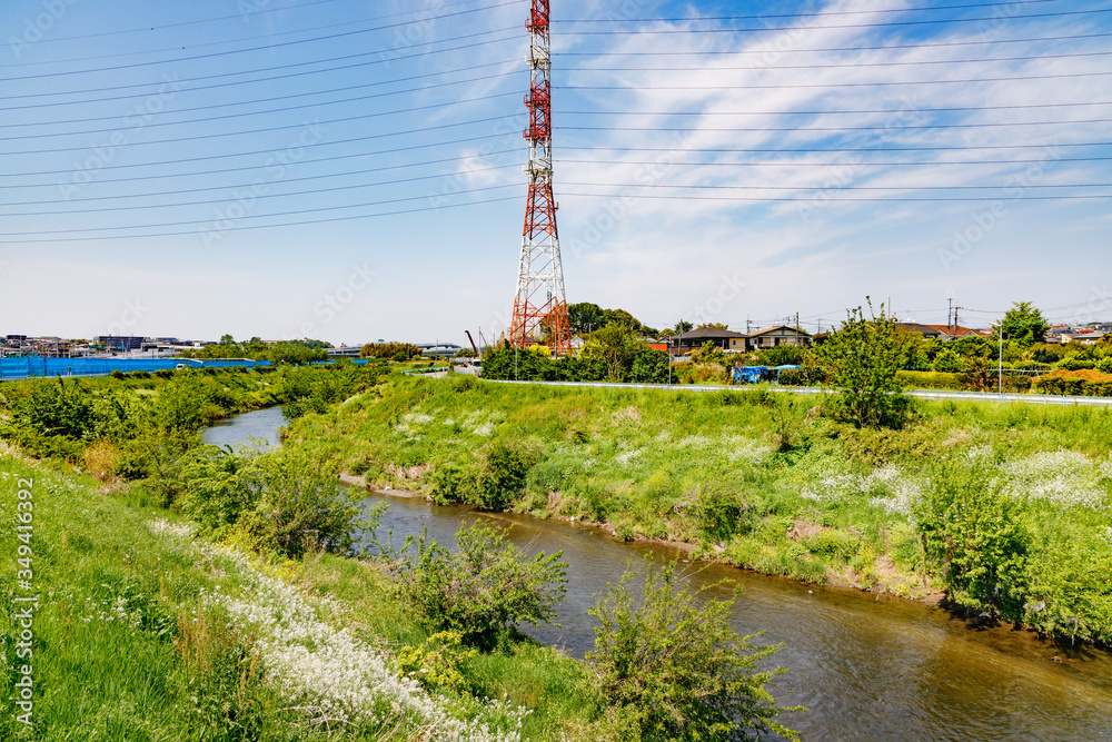 横浜郊外の風景　鶴見川土手沿い