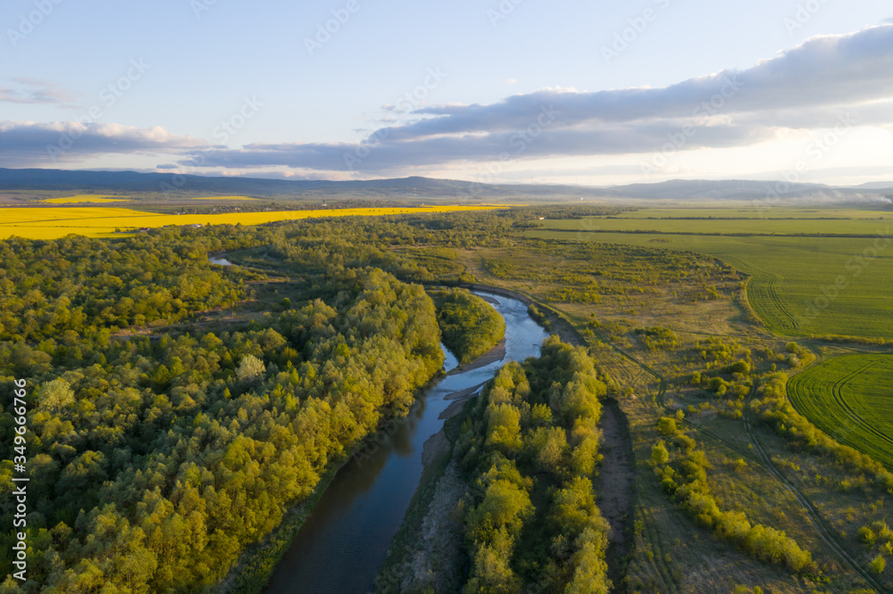 Flight through majestic river Dnister, lush green forest and blooming yellow rapeseed fields at suns