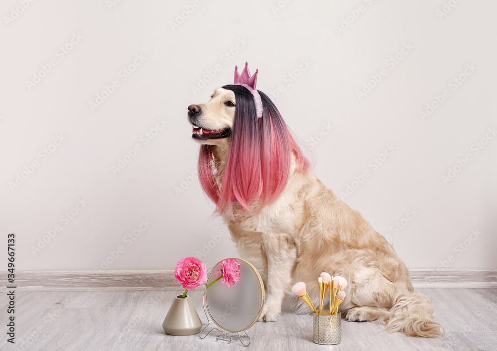 Funny dog in wig and with cosmetic supplies indoors