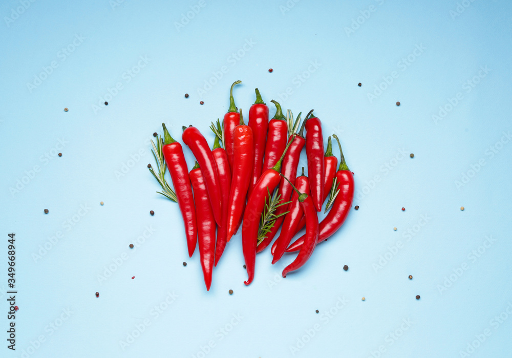 Hot chili pepper on color background