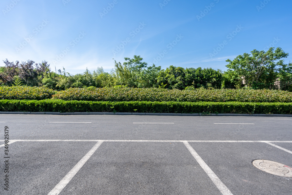 road in the park